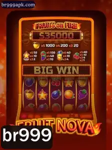 Explorando o Excitante Mundo de FruitNova: Uma Nova Era de Jogos