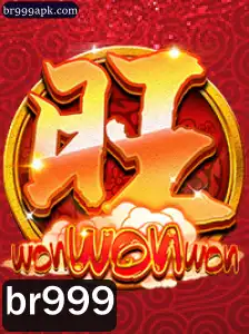 Descubra o Mundo de WonWonWon: Orientações e Dinâmicas